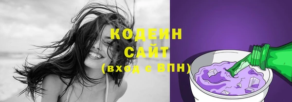 apvp Вяземский
