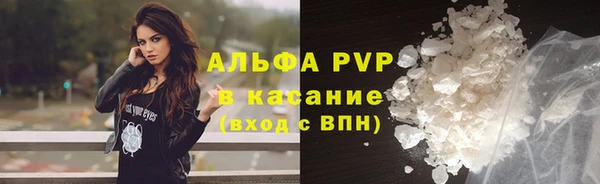 apvp Вяземский