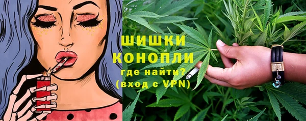 apvp Вяземский