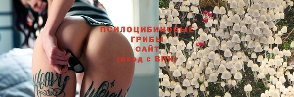 apvp Вяземский